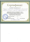 Сертификат о принятии участия в семинаре по теме: "Инновационные формы работы с семьей в условиях реализации ФГОС"